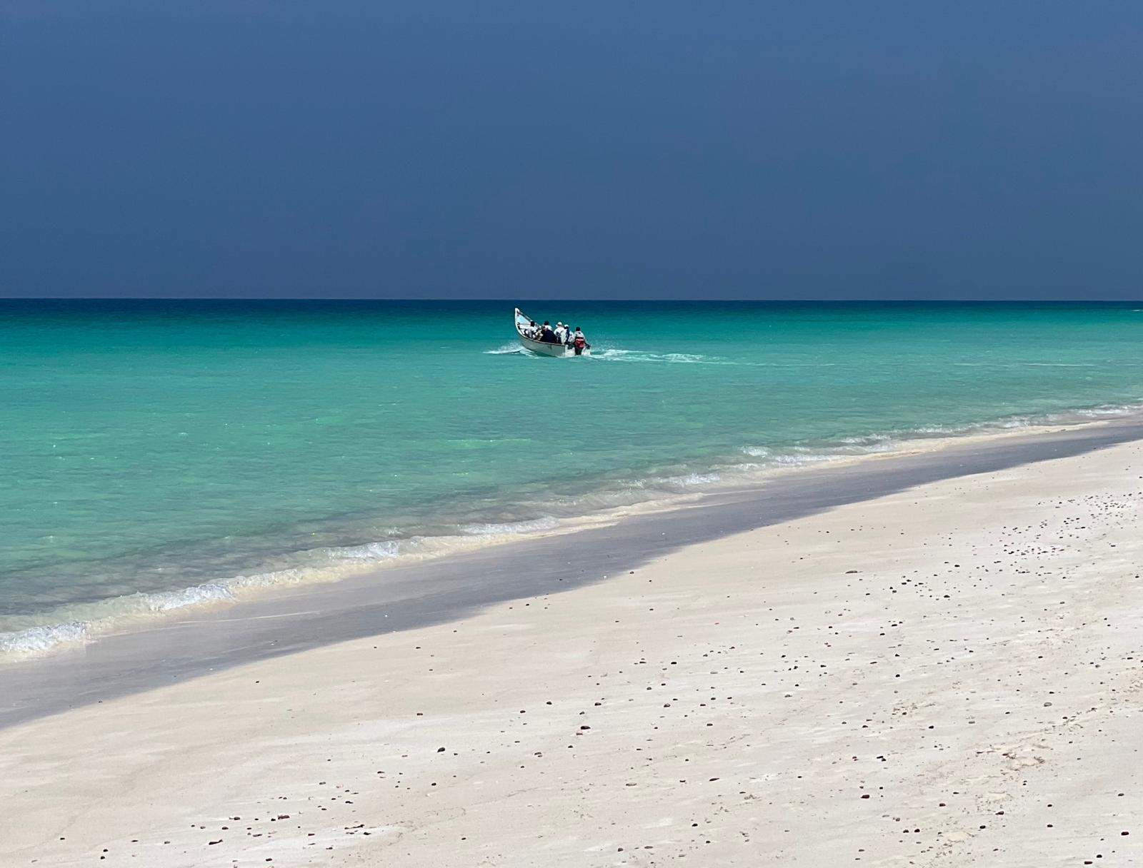 viaggio di gruppo socotra